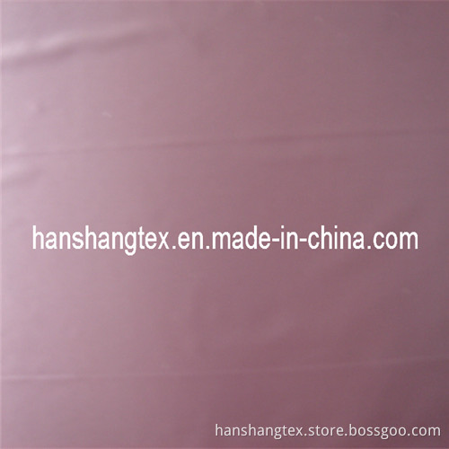 390t 20d Shine Water Proof Np Fabric (HS-D1122)